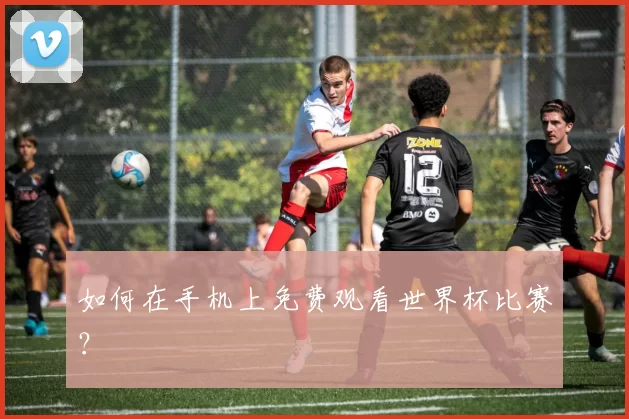 如何在手机上免费观看世界杯比赛?