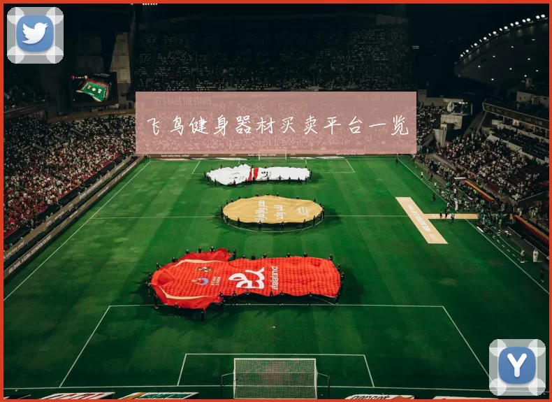 飞鸟健身器材买卖平台一览