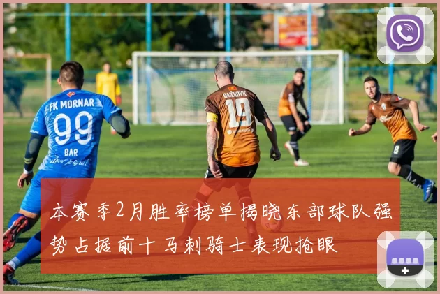 本赛季2月胜率榜单揭晓东部球队强势占据前十马刺骑士表现抢眼