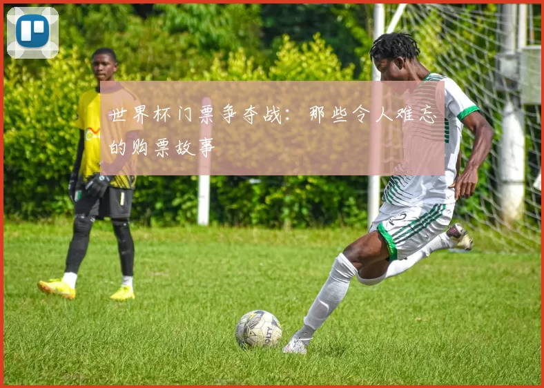 世界杯门票争夺战:那些令人难忘的购票故事