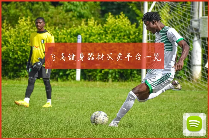 飞鸟健身器材买卖平台一览