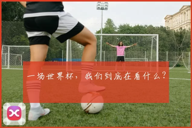 一场世界杯，我们到底在看什么？
