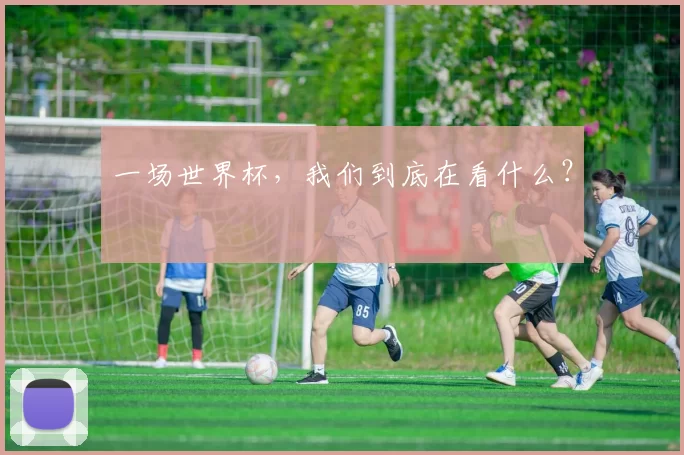 一场世界杯，我们到底在看什么？