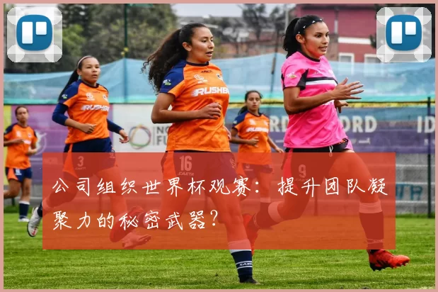 公司组织世界杯观赛：提升团队凝聚力的秘密武器？