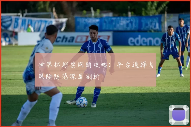世界杯彩票网购攻略:平台选择与风险防范深度剖析