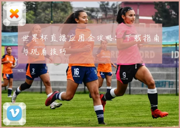 世界杯直播应用全攻略:下载指南与观看技巧