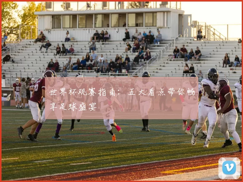 世界杯观赛指南:五大看点带你畅享足球盛宴