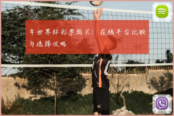 年世界杯彩票购买：在线平台比较与选择攻略