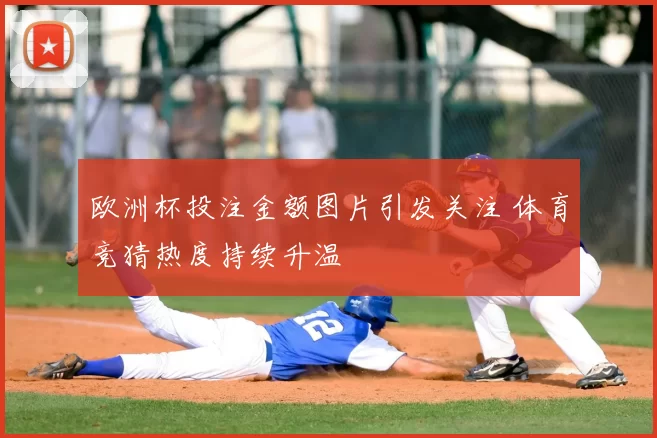 欧洲杯投注金额图片引发关注 体育竞猜热度持续升温