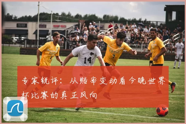 专家锐评:从赔率变动看今晚世界杯比赛的真正风向