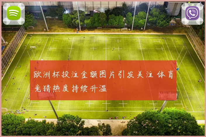 欧洲杯投注金额图片引发关注 体育竞猜热度持续升温