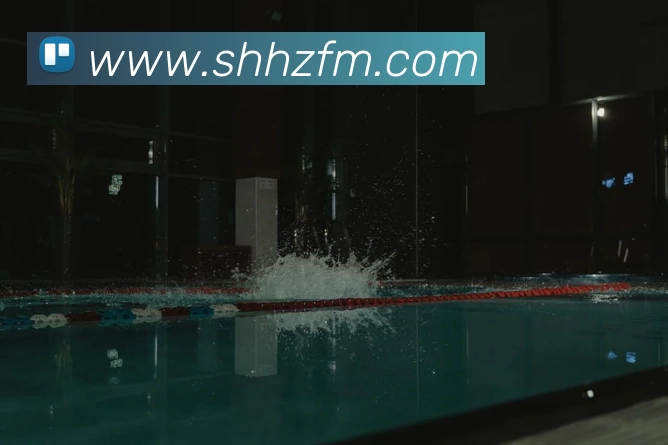 CBA与NBA竞技水平差距分析本土球员表现及外援政策影响